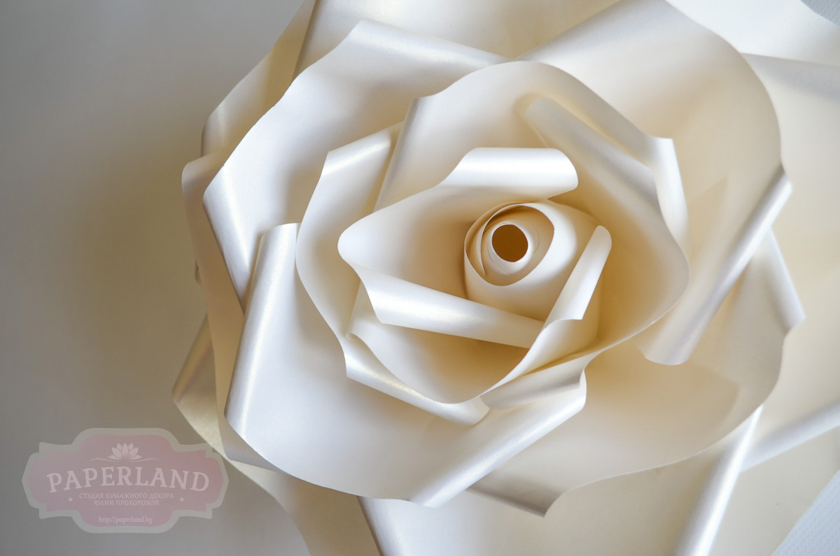 Белые розы из бумаги