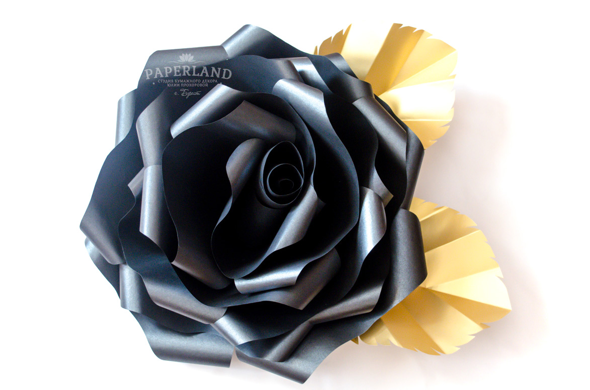 Черная роза цветок