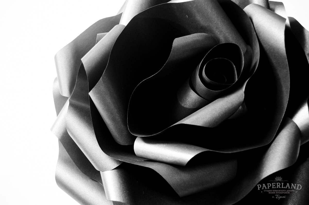 Черная роза из бумаги