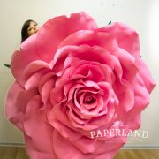 Мегагигантская роза. Цветы Юлии Прохоровой